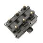 DELPHI GN10213 Ignition Coil