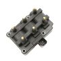 DELPHI GN10213 Ignition Coil