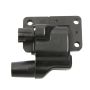 DELPHI GN10222 Ignition Coil