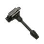DELPHI GN10225 Ignition Coil