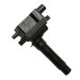 DELPHI GN10228 Ignition Coil