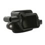 DELPHI GN10228 Ignition Coil