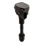 DELPHI GN10242 Ignition Coil