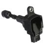 DELPHI GN10243 Ignition Coil