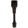 DELPHI GN10243 Ignition Coil