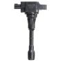 DELPHI GN10244 Ignition Coil