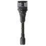 DELPHI GN10244 Ignition Coil
