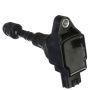 DELPHI GN10247 Ignition Coil