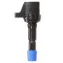 DELPHI GN10249 Ignition Coil