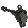 DELPHI GN10250 Ignition Coil