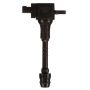 DELPHI GN10250 Ignition Coil