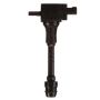 DELPHI GN10250 Ignition Coil