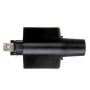 DELPHI GN10275 Ignition Coil