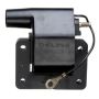 DELPHI GN10278 Ignition Coil