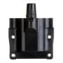 DELPHI GN10287 Ignition Coil