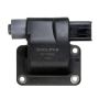 DELPHI GN10288 Ignition Coil