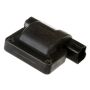 DELPHI GN10289 Ignition Coil