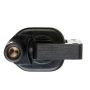 DELPHI GN10291 Ignition Coil