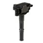 DELPHI GN10299 Ignition Coil