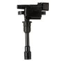 DELPHI GN10301 Ignition Coil