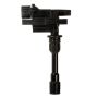 DELPHI GN10301 Ignition Coil