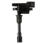 DELPHI GN10301 Ignition Coil