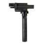DELPHI GN10302 Ignition Coil