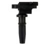 DELPHI GN10303 Ignition Coil