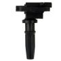 DELPHI GN10303 Ignition Coil