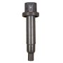 DELPHI GN10312 Ignition Coil