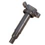 DELPHI GN10313 Ignition Coil