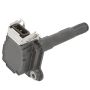 DELPHI GN10326 Ignition Coil