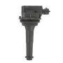 DELPHI GN10334 Ignition Coil