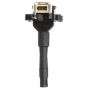 DELPHI GN10335 Ignition Coil