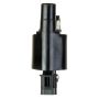 DELPHI GN10349 Ignition Coil