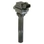DELPHI GN10350 Ignition Coil