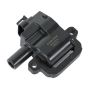DELPHI GN10374 Ignition Coil