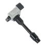 DELPHI GN10377 Ignition Coil