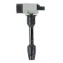 DELPHI GN10377 Ignition Coil
