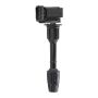 DELPHI GN10377 Ignition Coil