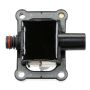DELPHI GN10381 Ignition Coil