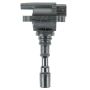 DELPHI GN10384 Ignition Coil