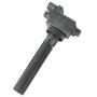 DELPHI GN10387 Ignition Coil