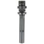 DELPHI GN10387 Ignition Coil