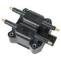 DELPHI GN10388 Ignition Coil