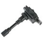 DELPHI GN10390 Ignition Coil