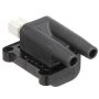 DELPHI GN10397 Ignition Coil