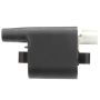 DELPHI GN10397 Ignition Coil