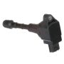 DELPHI GN10430 Ignition Coil