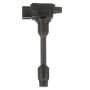 DELPHI GN10431 Ignition Coil